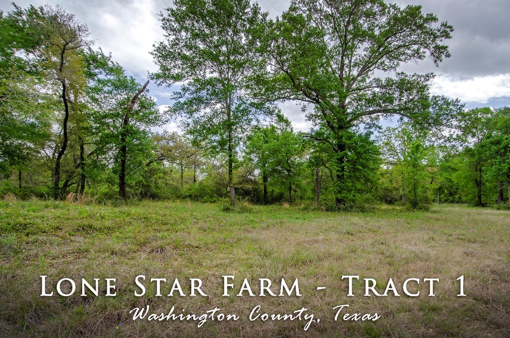 Lone Star Farm Tract 1 Washington 77880, Washington County