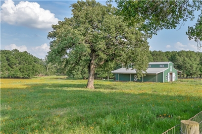 Cunningham Real Estate Txls