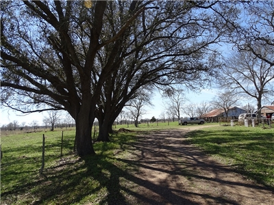 Abel Travis Abel And Associates Real Estate Txls